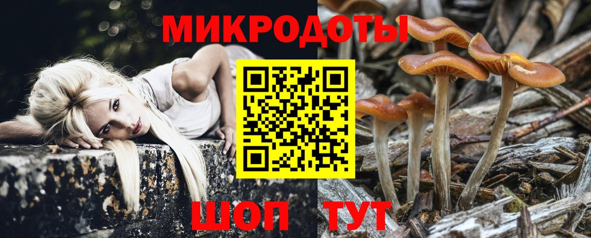 Псилоцибиновые грибы Зима