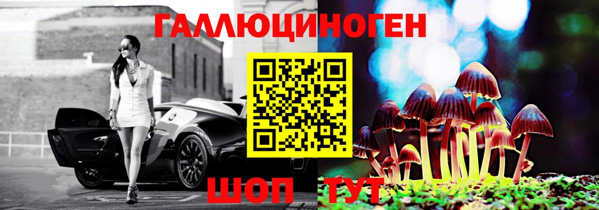 Псилоцибиновые грибы MAGIC MUSHROOMS Зима