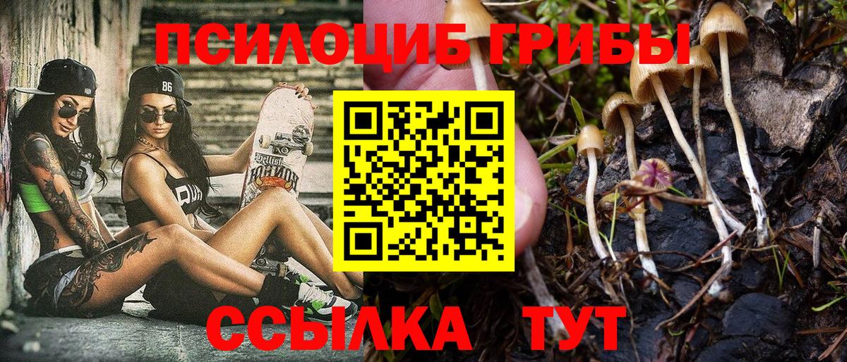 Псилоцибиновые грибы мухоморы  Вход с VPN  Зима 