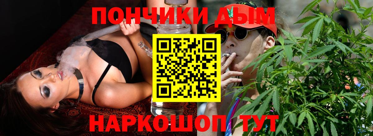 Зима  Бошки Шишки план  Шишки марихуана Bruce Banner  Канабис сатива  Вход с VPN 